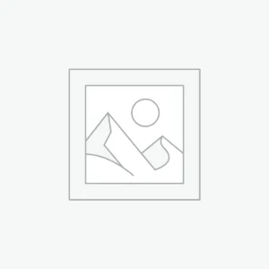 2022 SALEM BY FOREST RIVER SALEM 22RBS